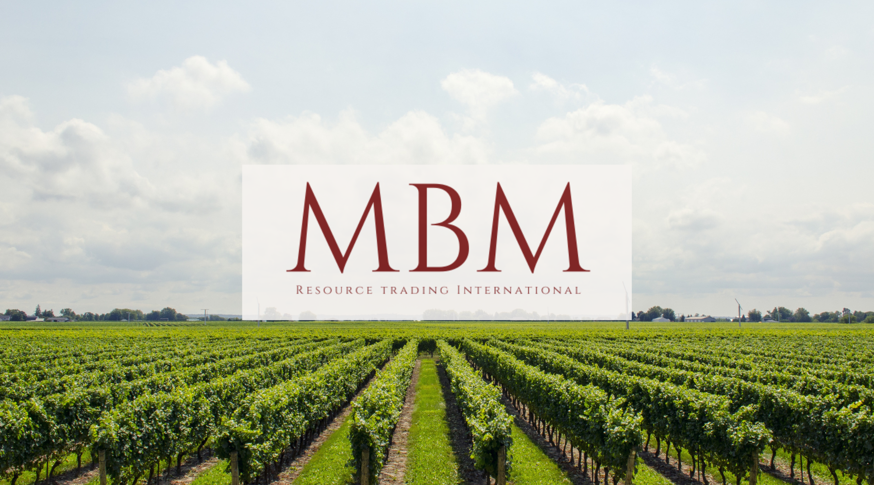 MBM growers